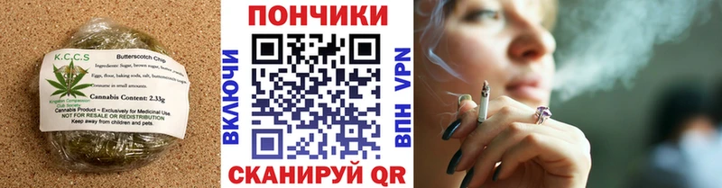 купить наркотик  Шагонар  hydra рабочий сайт  Печенье с ТГК марихуана 